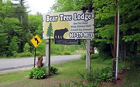 Bear Tree Lodge Meredith Nh